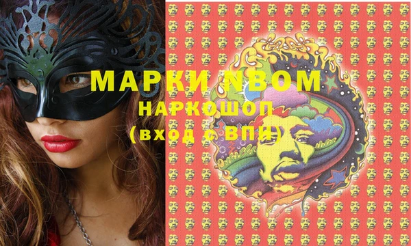 стаф Надым