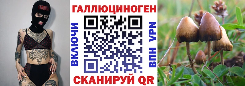 Псилоцибиновые грибы мухоморы mega Карасук