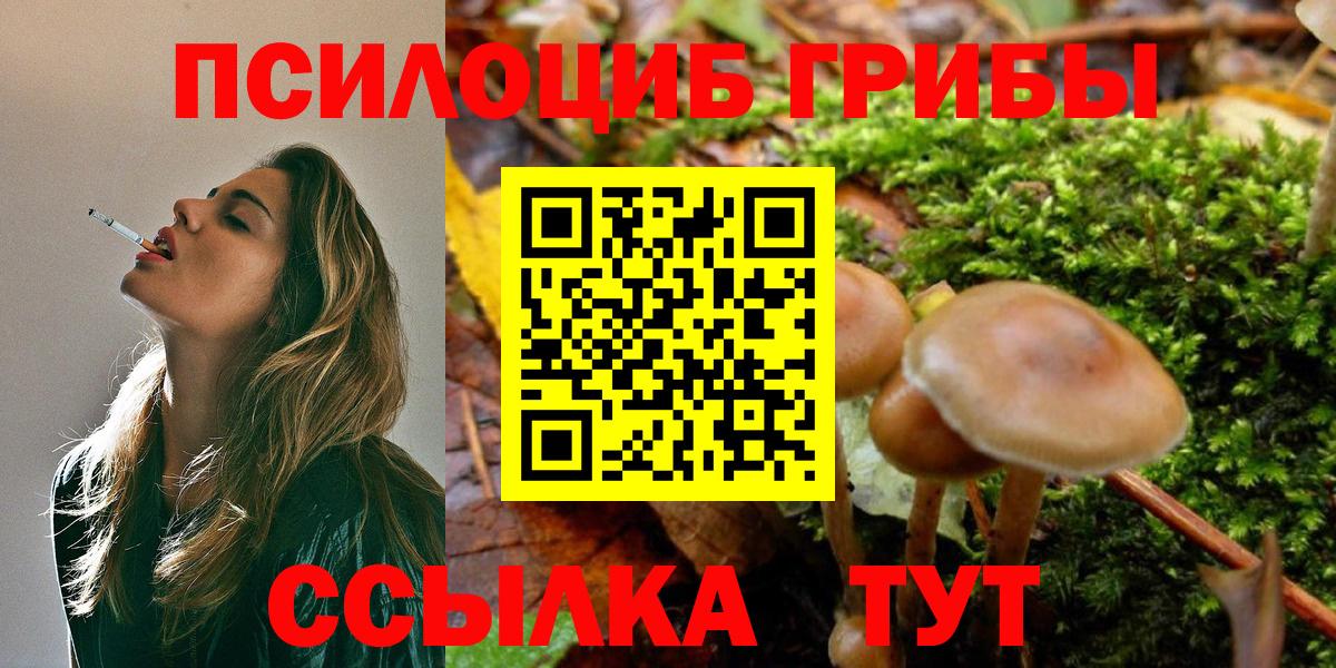 Галлюциногенные грибы мицелий  Карасук  Псилоцибиновые грибы MAGIC MUSHROOMS 