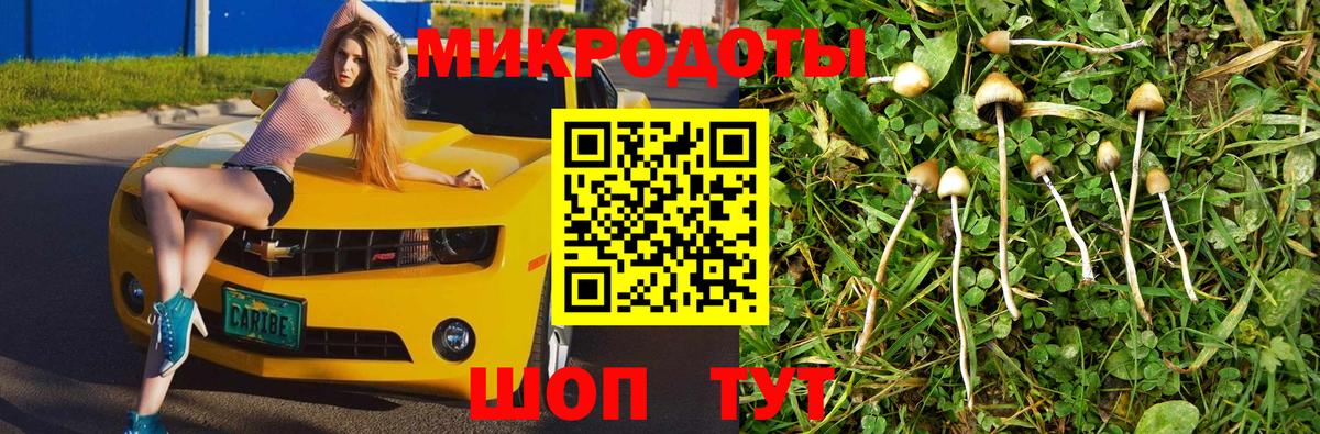 Псилоцибиновые грибы ЛСД Карасук