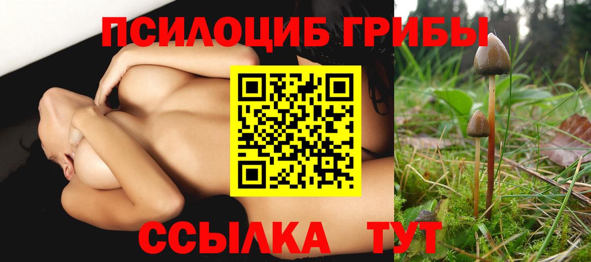 Галлюциногенные грибы ЛСД  Вход с VPN  Карасук  Галлюциногенные грибы прущие грибы 